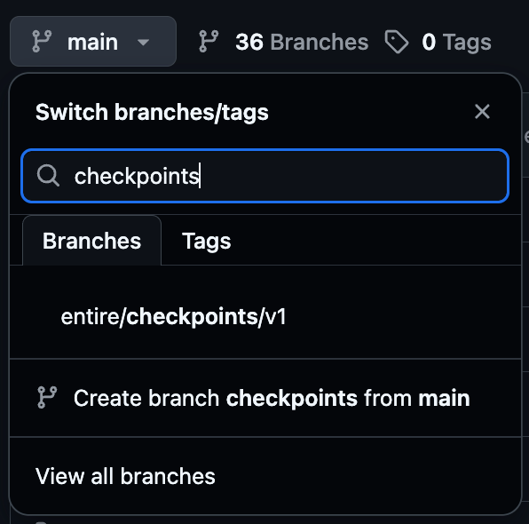 Screenshot of a checkpoint branch