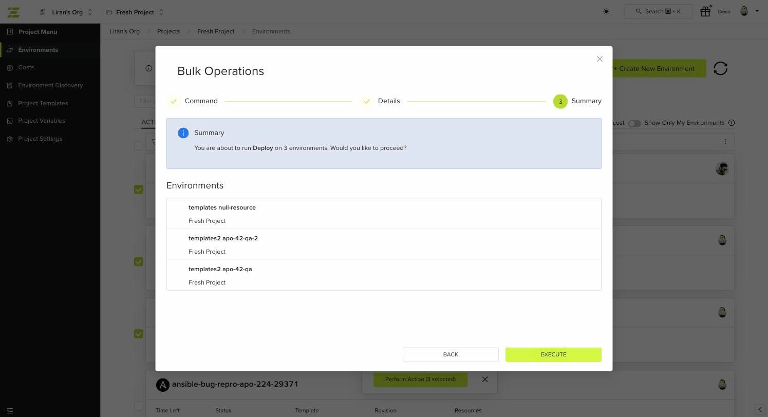 Bulk operation Summary step listing the selected environments with an Execute button