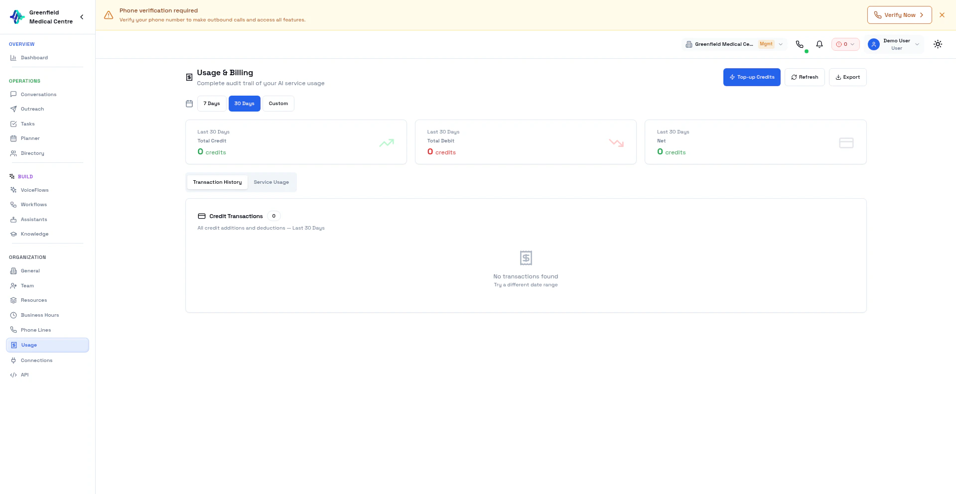Usage and Credits page showing balance and transaction history