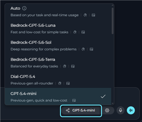 Agents model settings