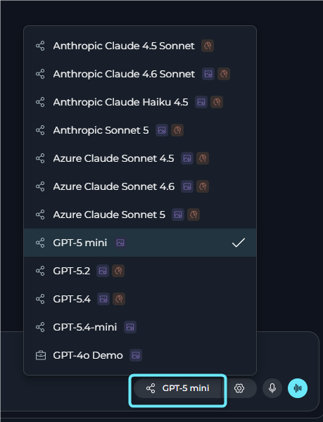 Agents model settings