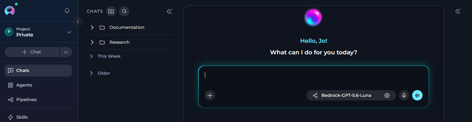 The Chat page with an ongoing chat.