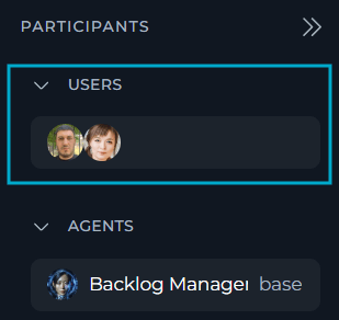 The PARTICIPANTS panel showing users invited to a team project chat.