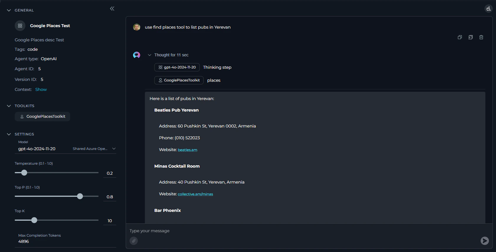Agent Execution Interface