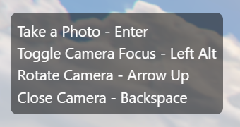 Phone camera controls