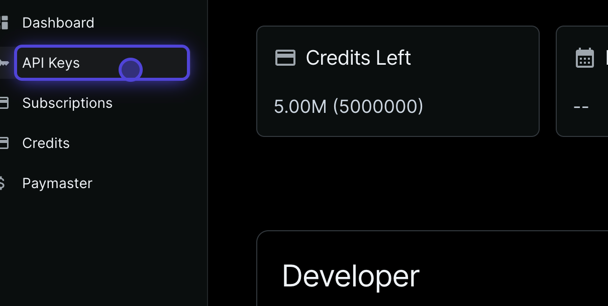 Navigate to API Keys