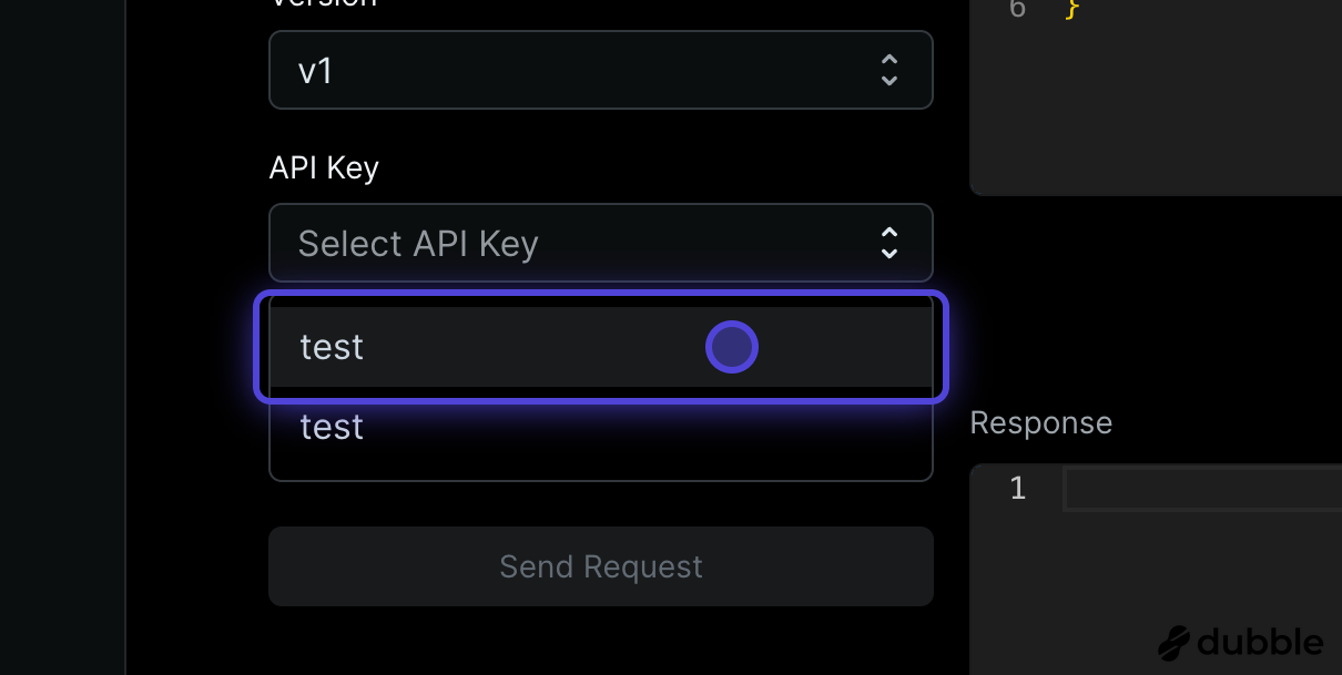 Choose API Key