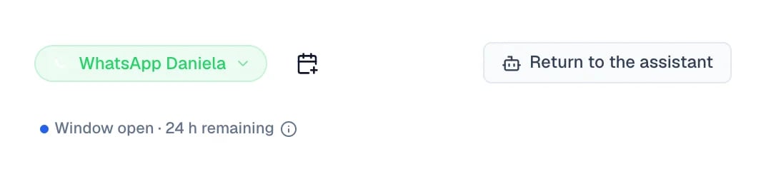 Conversation bar with the Return to the assistant button.