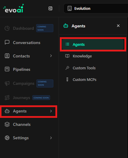 Acessando a seção de agentes