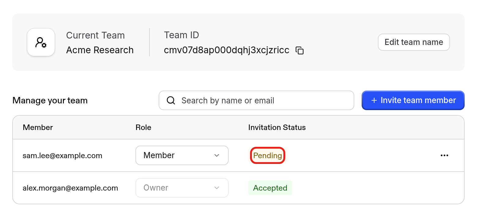 Team member listed with Pending invitation status