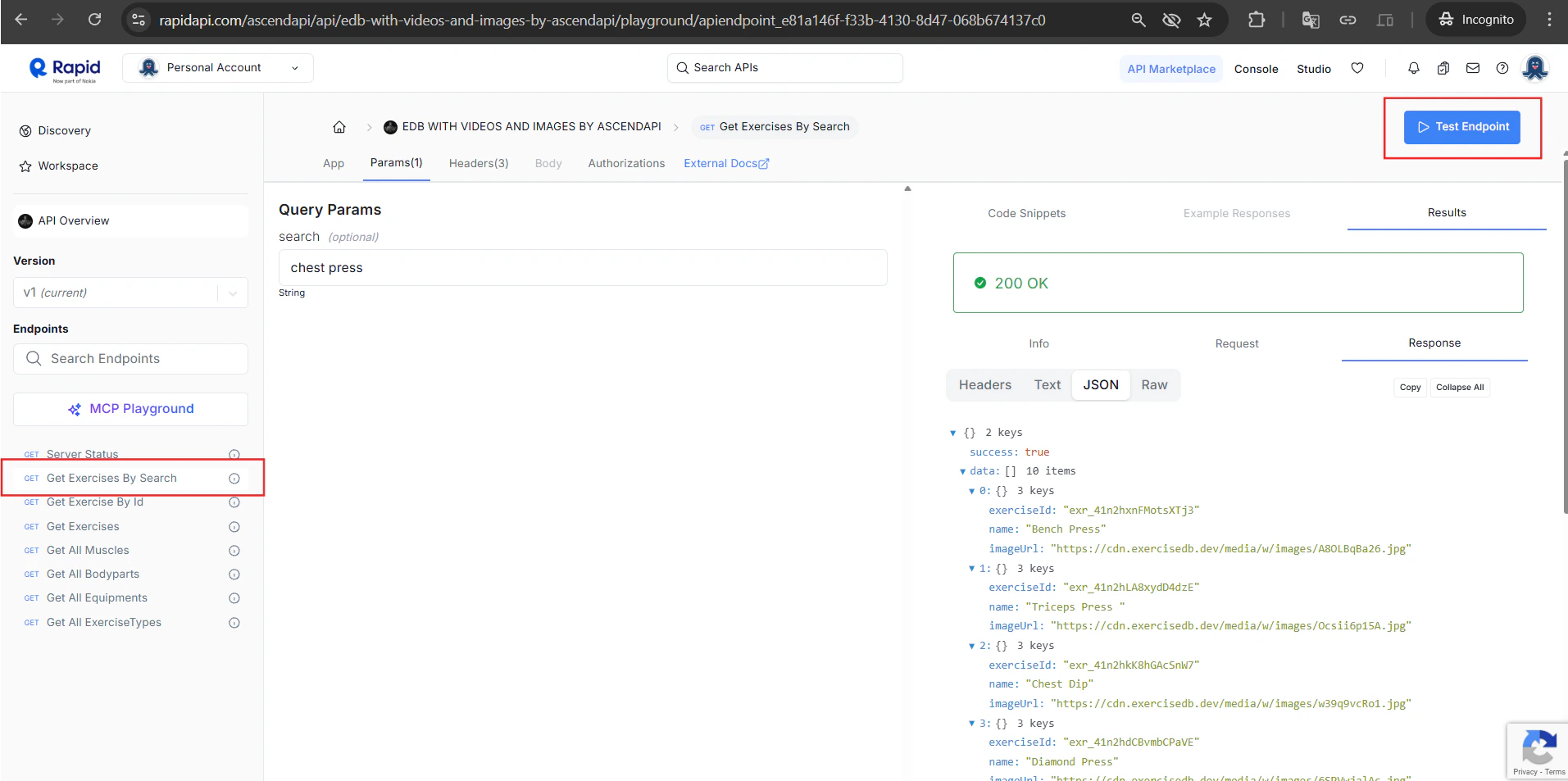 Select an endpoint, add params, click Test Endpoint, get a 200 OK response
