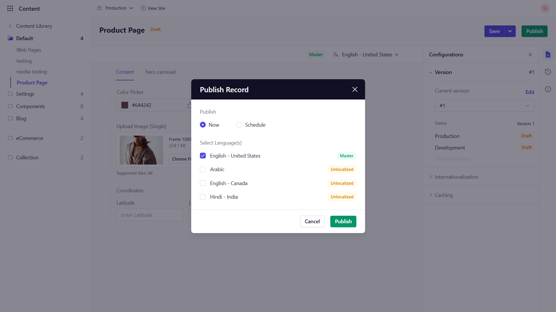Preview, Publish, and Schedule an Entry - Experro