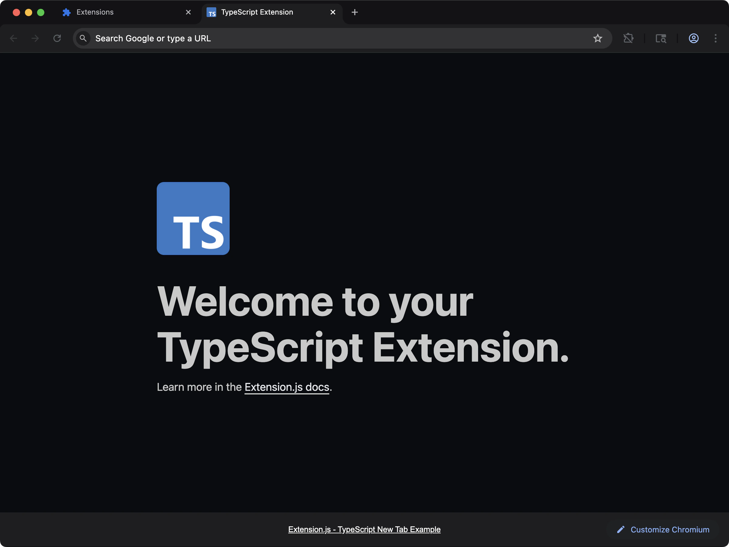 new-typescript template screenshot