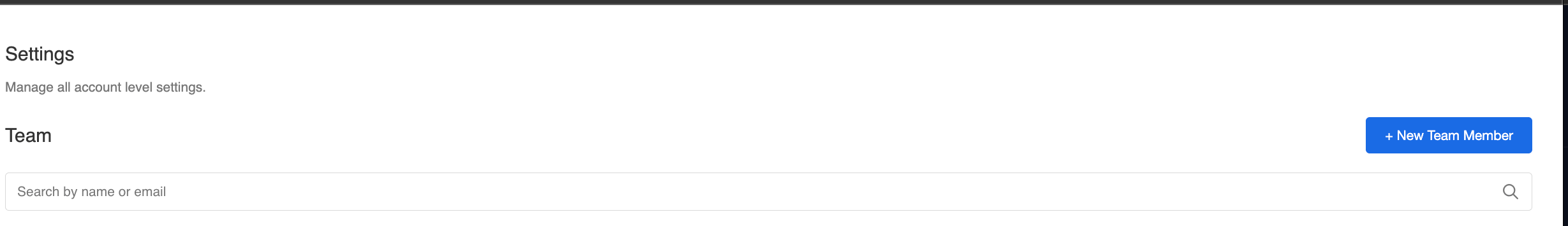 The Team section on the Settings page, with the + New Team Member button.