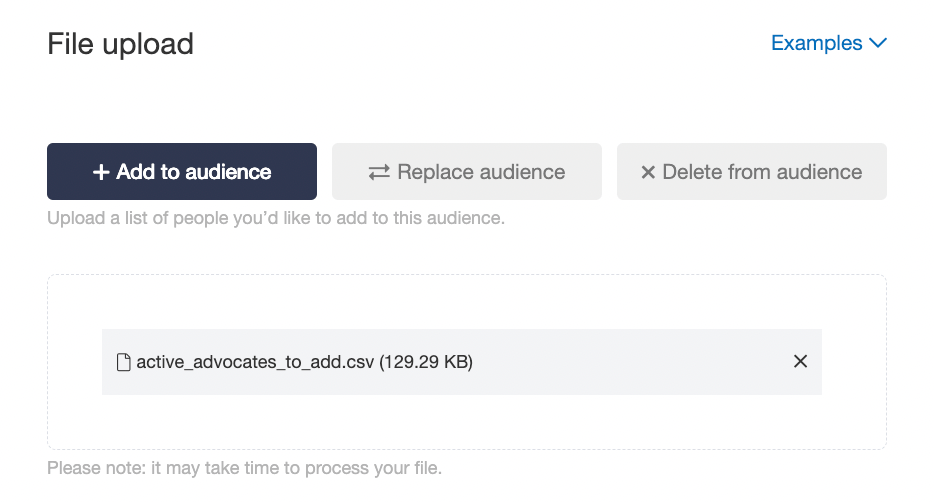 Screenshot showing Upload additional files to your audience to add, replace, or delete members in bulk. You can also add and delete individual audience members in-line.
