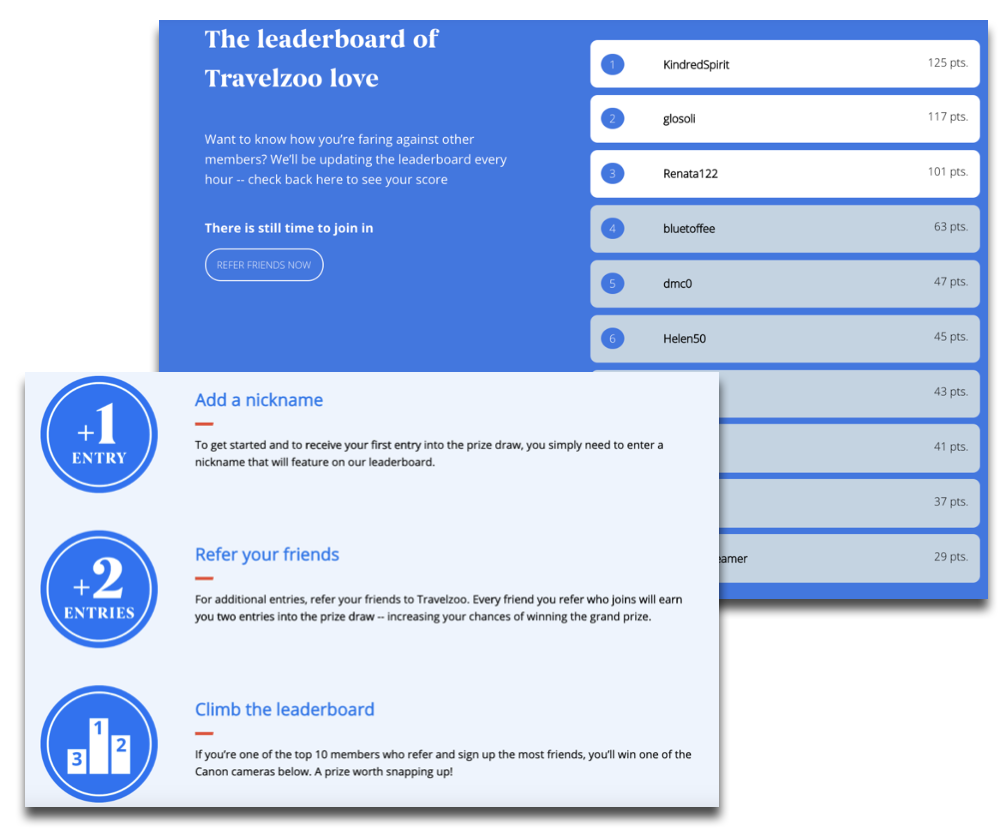 Screenshot showing Travelzoo wanted a creative way to engage existing customers and appeal to new ones in a non-transactional manner. In addition to boosting brand awareness...