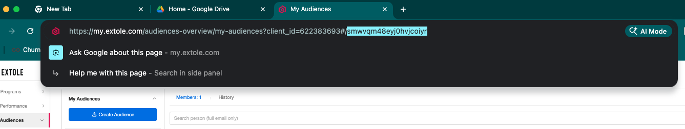 Screenshot showing Click into that new audience and find the Audience ID in the URL after the #/