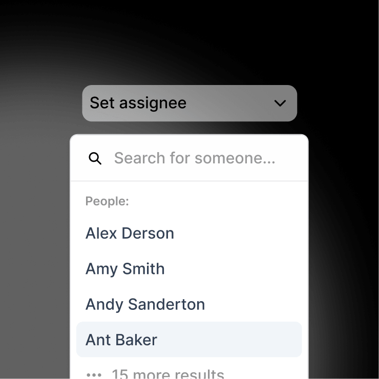 Set Assignee Visual C Set Assignee Visual C