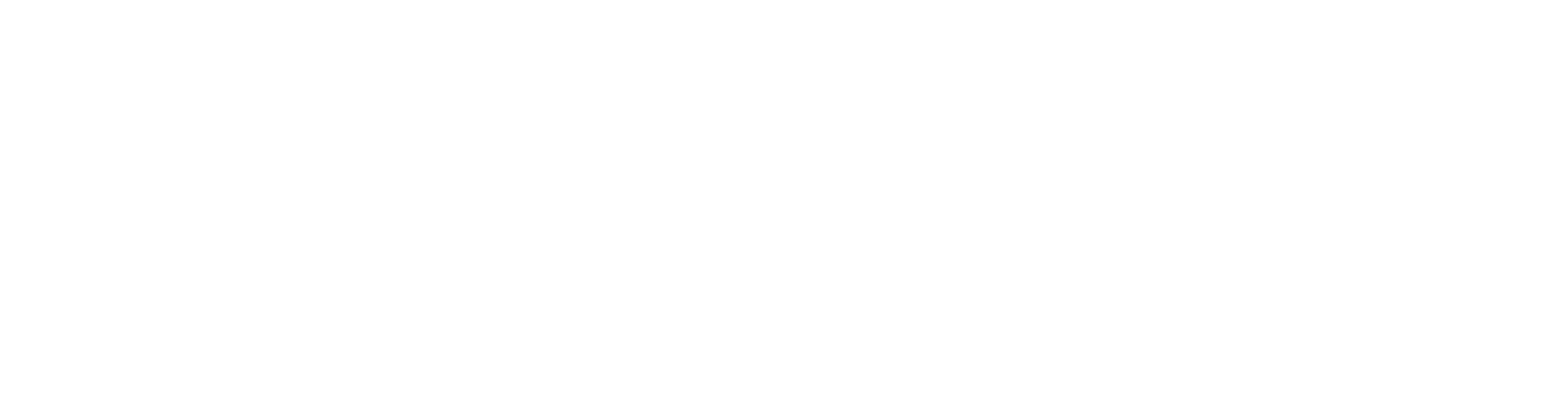 light logo