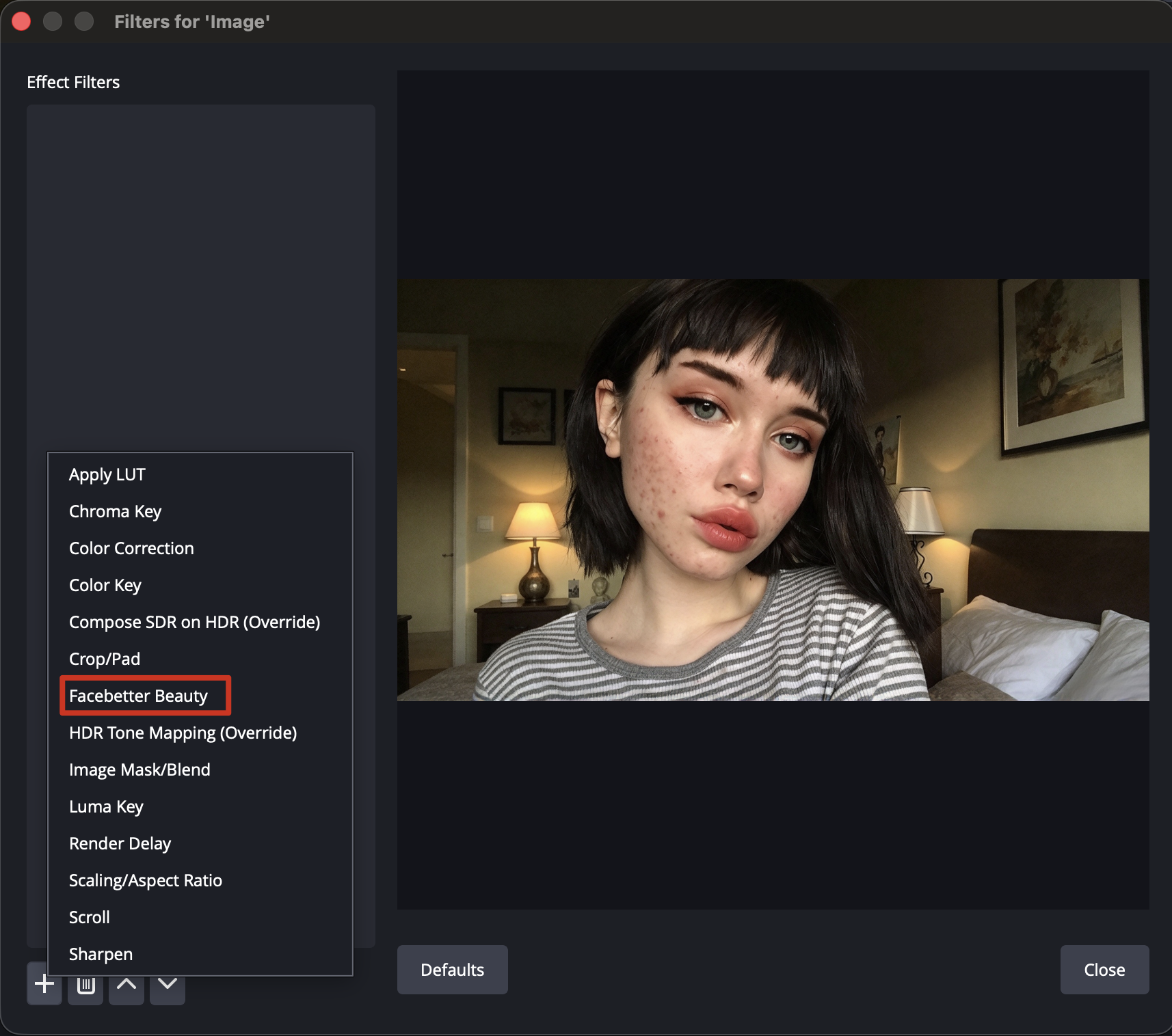필터 목록에서 Facebetter Beauty 선택