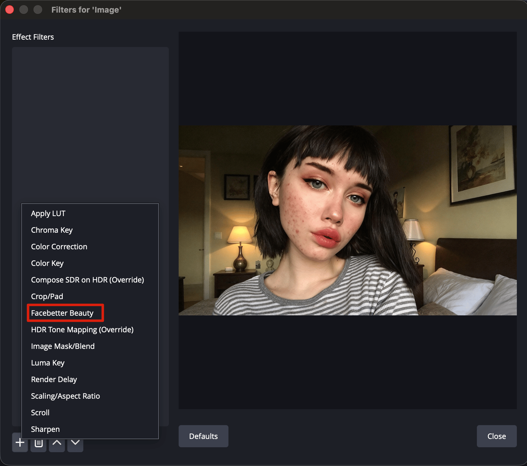 필터 목록에서 Facebetter Beauty 선택