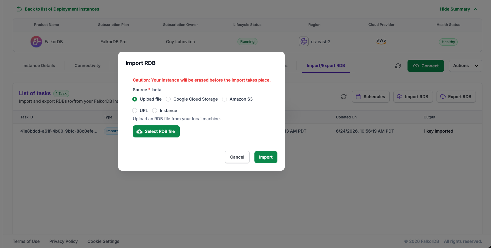 Import RDB dialog with Upload file selected and the erase caution