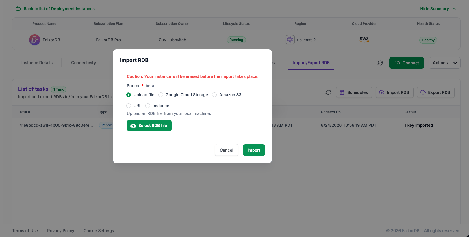 Import RDB dialog with Upload file selected and the erase caution