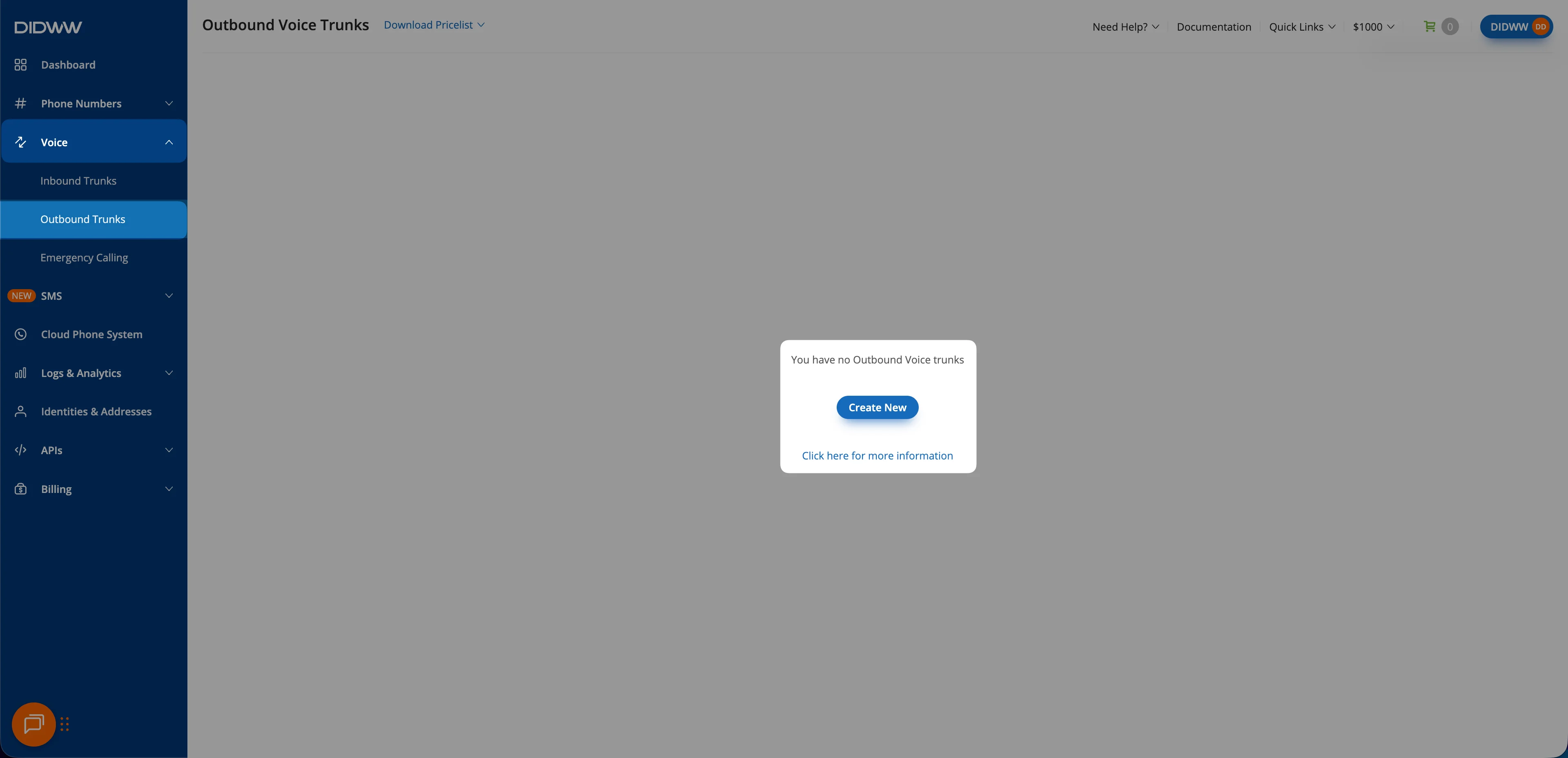 DIDWW: Voice → Outbound Trunks → Create New