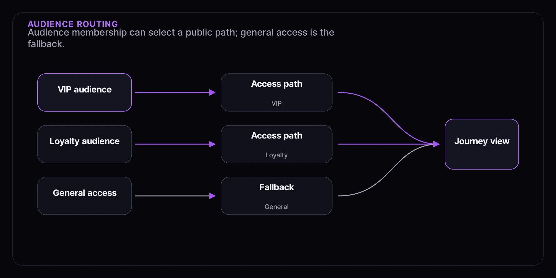 Audience routing diagram showing VIP audience, loyalty audience, and general fallback access paths.