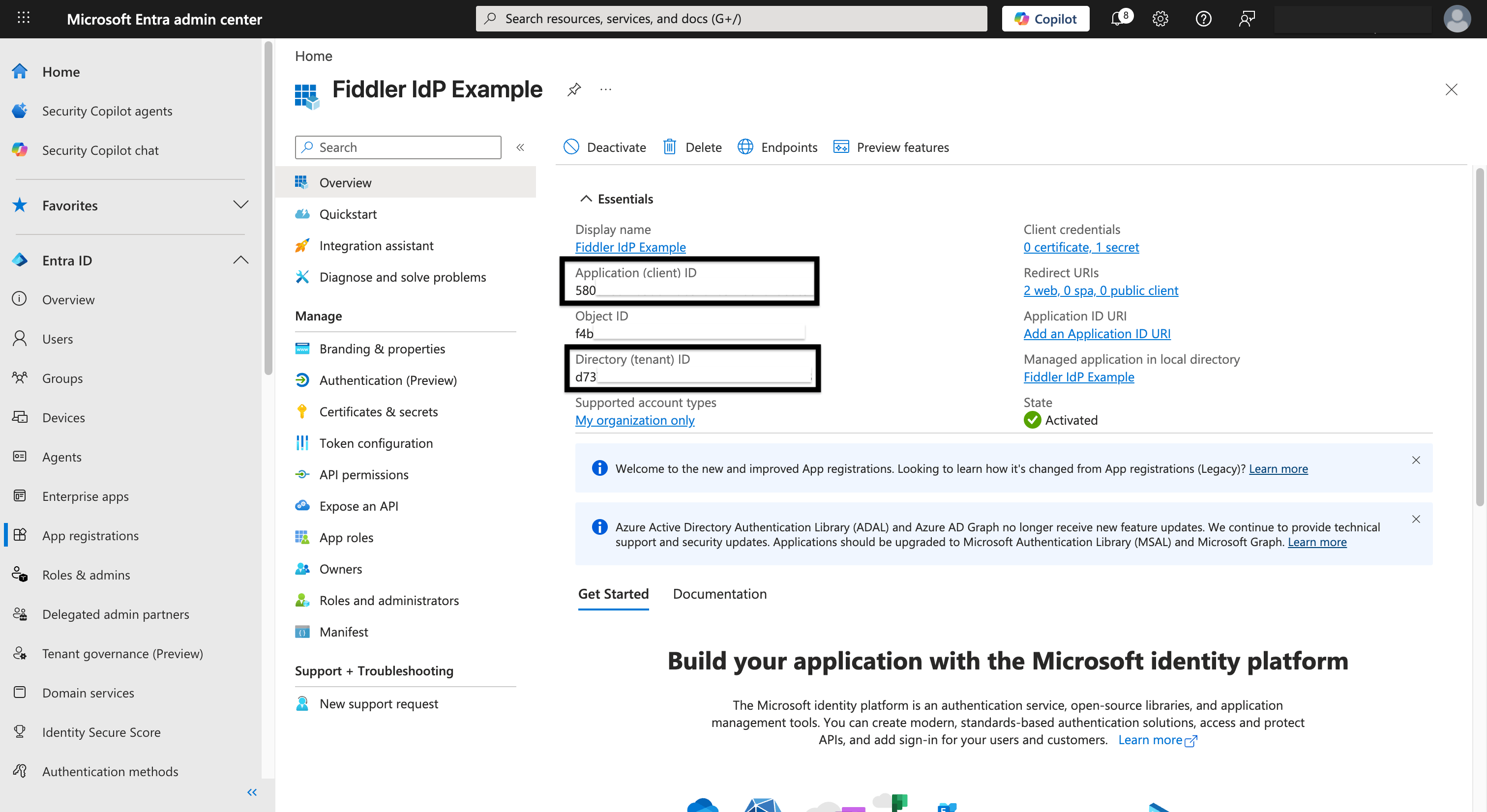Microsoft Entra ID application overview with client and tenant IDs