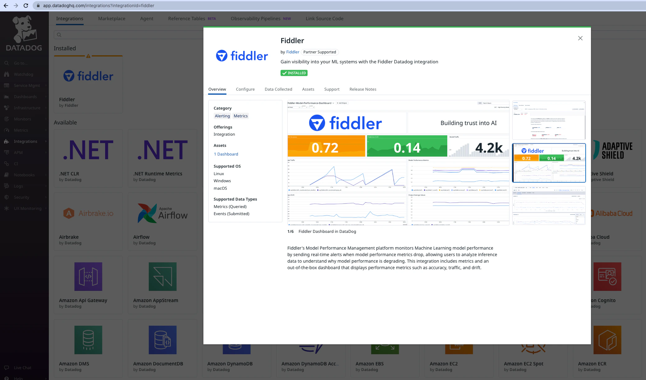 The Fiddler Datadog integration app Overview tab