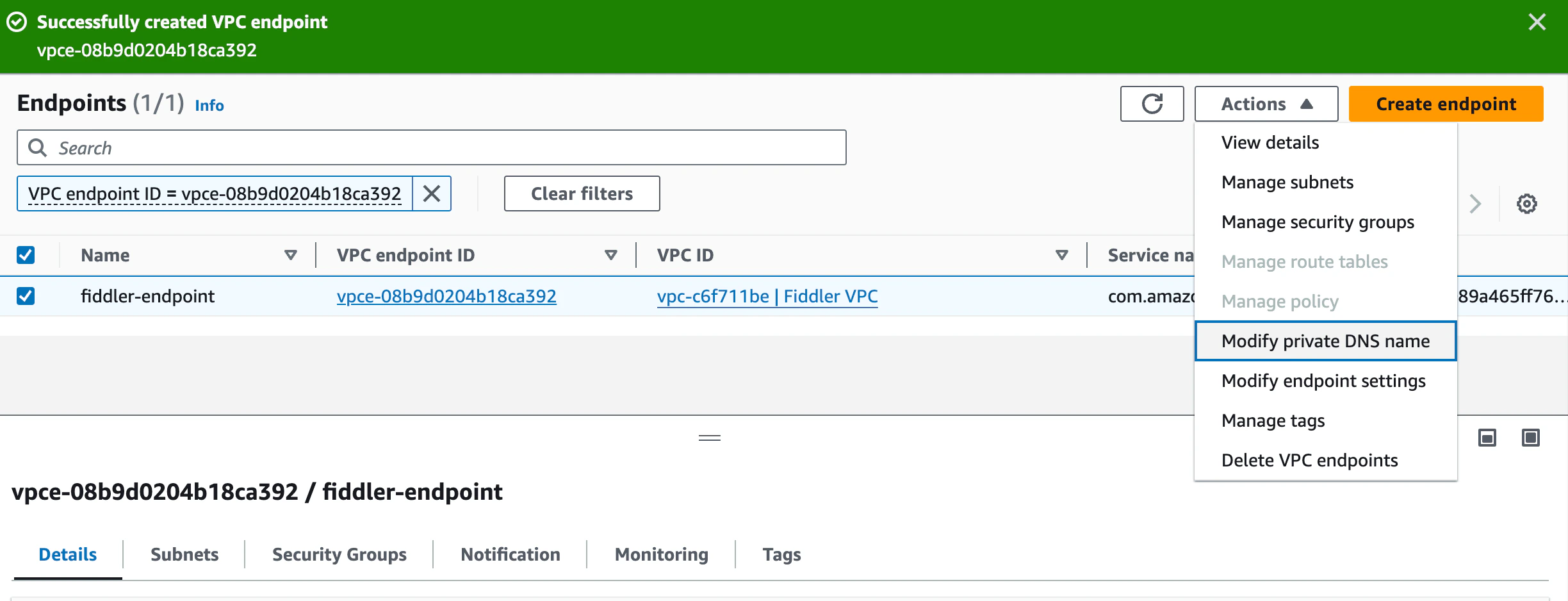 Select action "Modify the private DNS name"