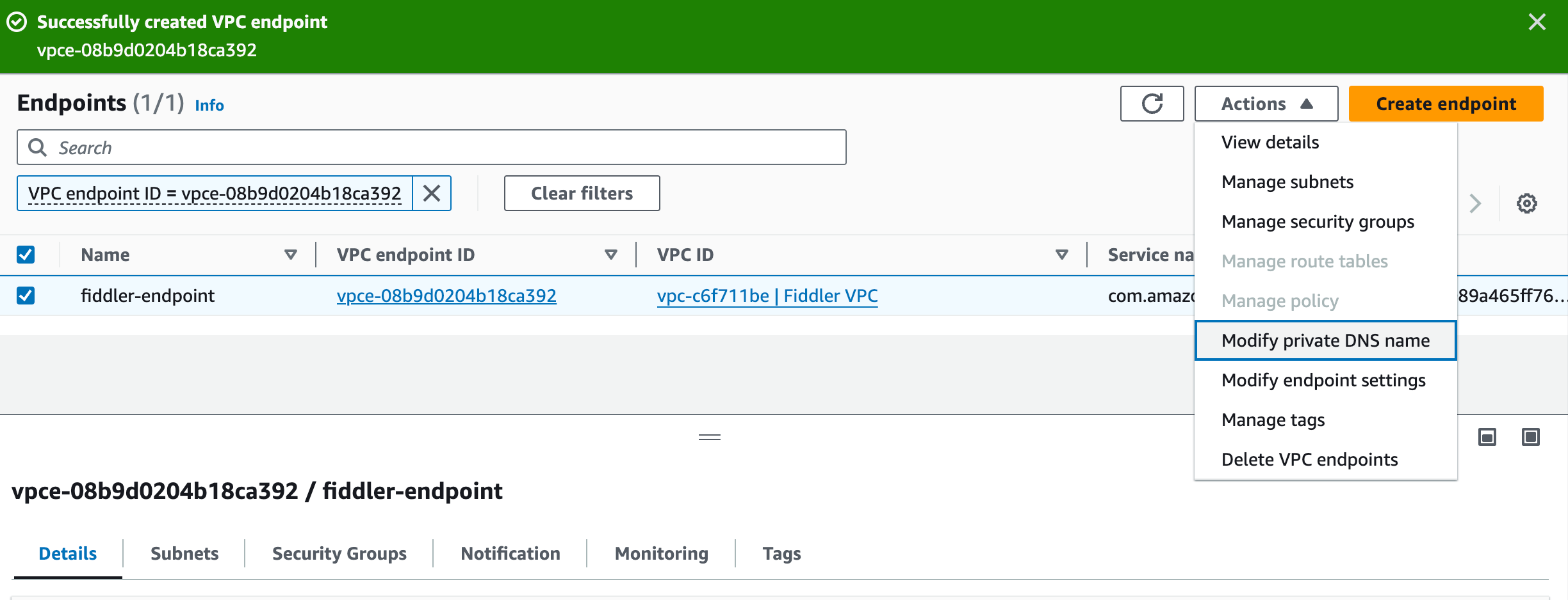 Select action "Modify the private DNS name"