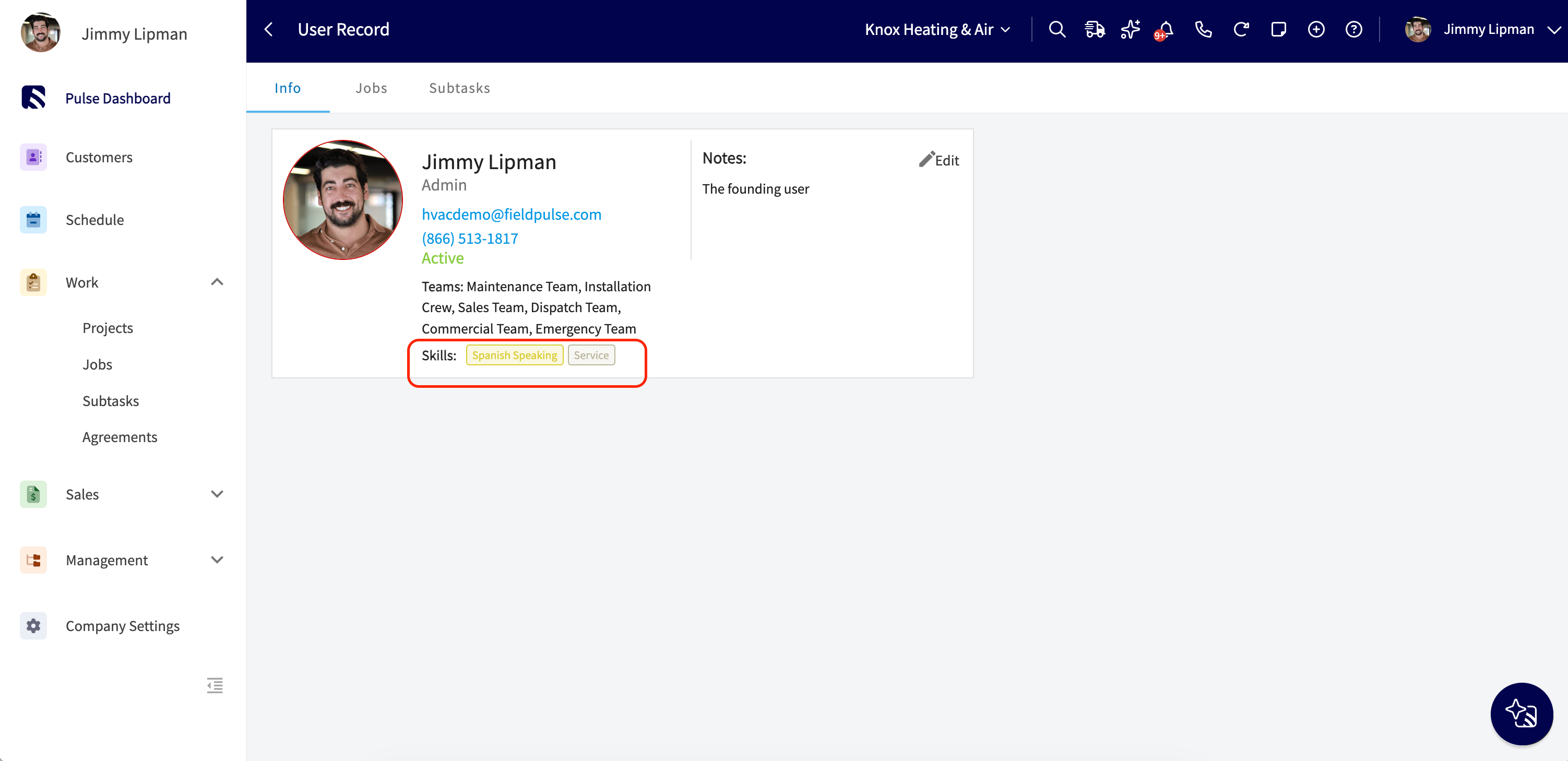 User Record Info tab showing assigned tags under the Skills row