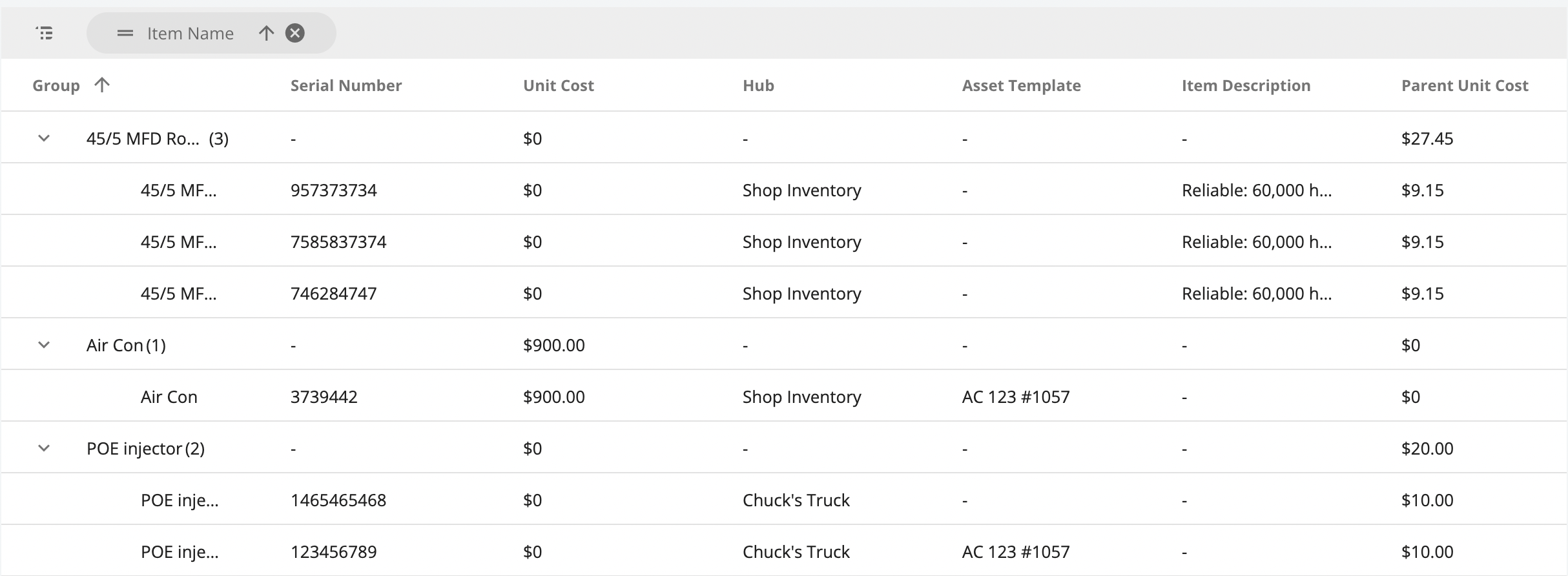 Serialized inventory report listing items grouped by item