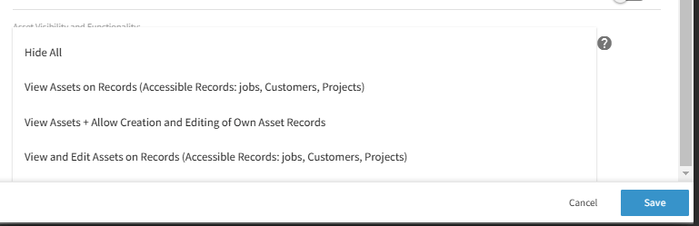 Asset Visibility and Functionality permission options for a user account