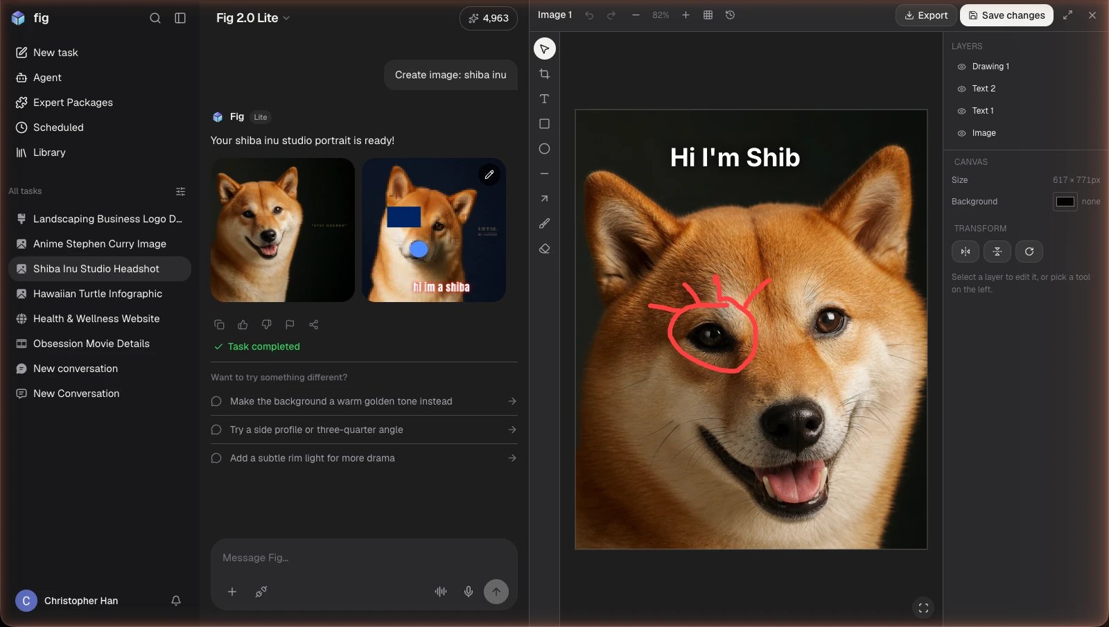 Fig web image editor showing a photo on the canvas with a layers panel and editing controls
