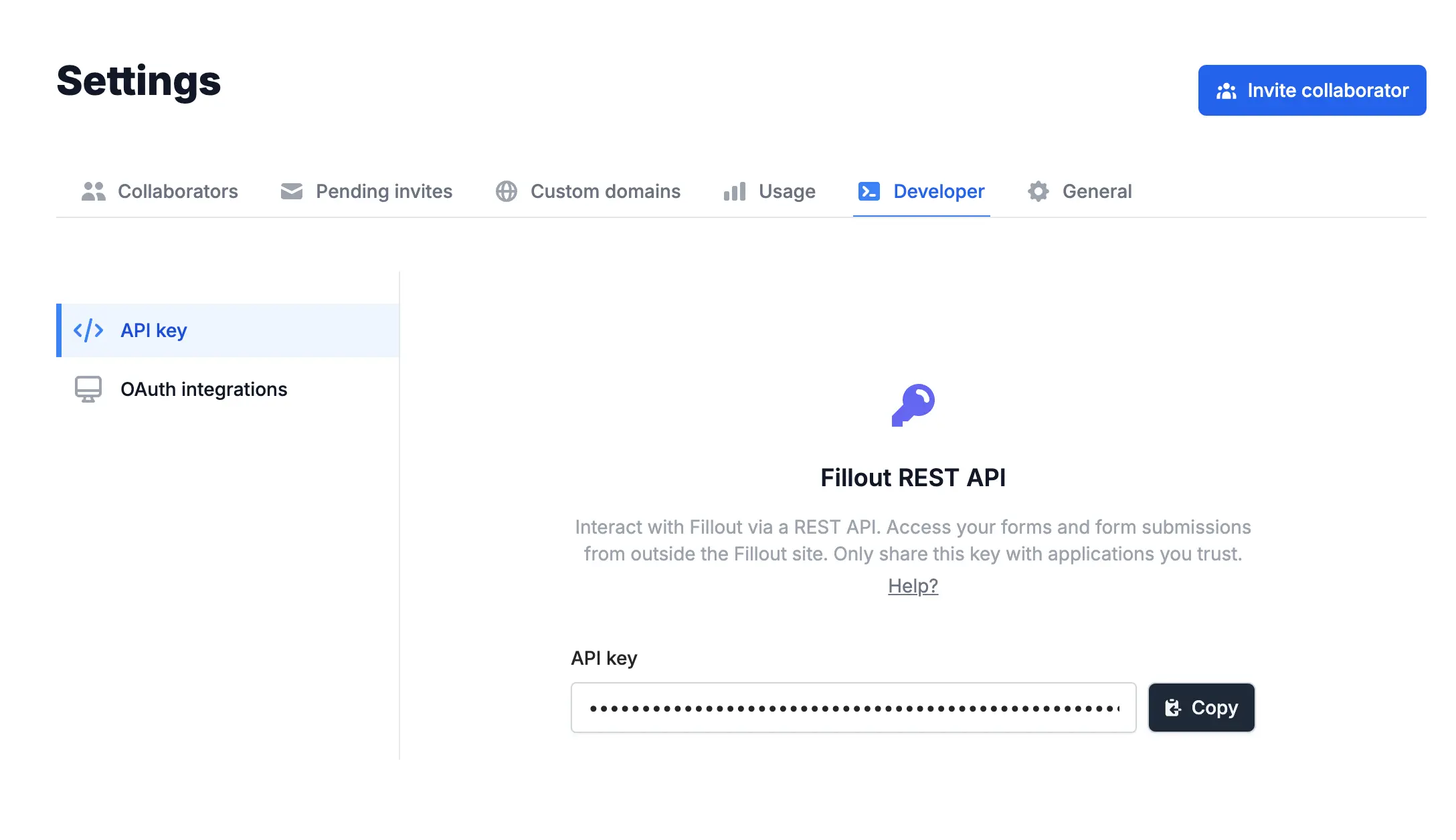 Screenshot of the Developer tab of a form