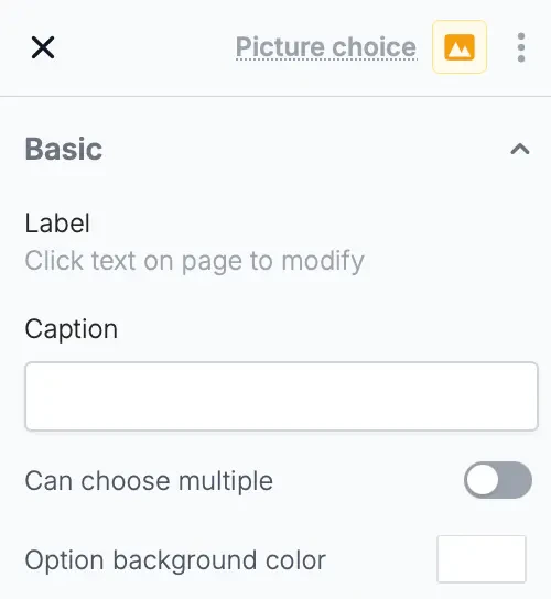 Screenshot of the Form designer tab of a form