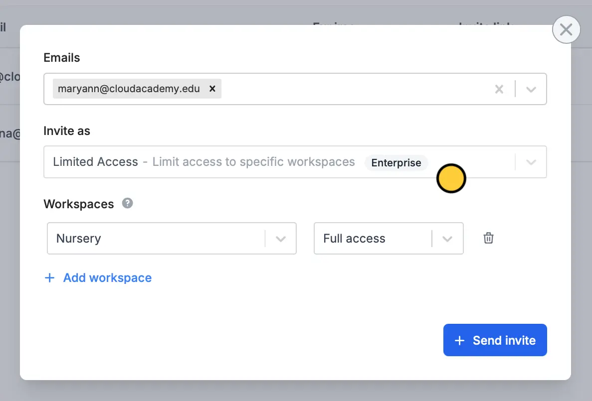 Manage team members with granular permissions