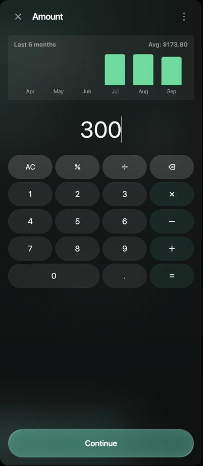 Amount drawer with a Last 6 months chart, average $173.80, the amount 300 and a Continue button.