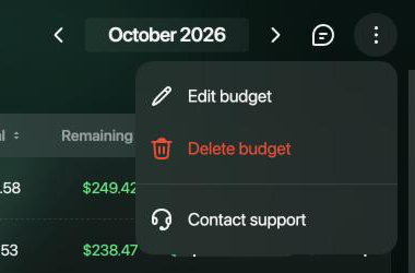 Budget page menu with Edit budget, Delete budget and Contact support.