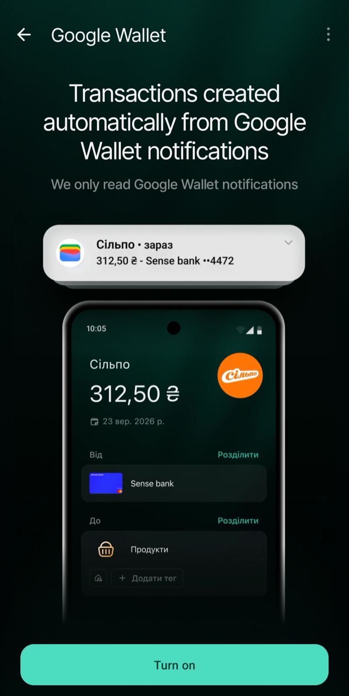 Google Wallet in finerd, with the Turn on button below the introduction.