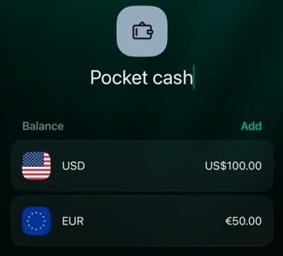 iOS new Pocket cash account showing separate USD 100 and EUR 50 balances, with Add beside Balance.
