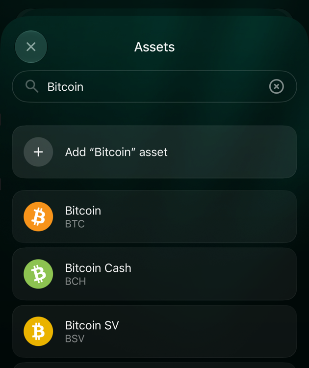 Екран Assets в iOS з пошуком Bitcoin: Add “Bitcoin” asset, далі Bitcoin BTC, Bitcoin Cash BCH і Bitcoin SV BSV.