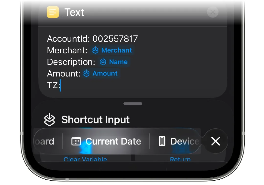 Adding the Current Date variable to the TZ line