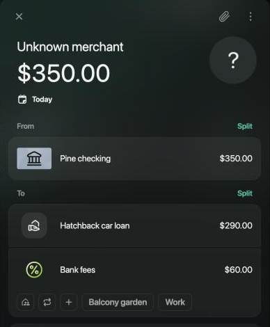 Transaction of $350.00 titled Unknown merchant, from Pine checking to Hatchback car loan $290.00 and Bank fees $60.00.