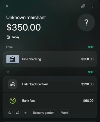 Transaction of $350.00 titled Unknown merchant, from Pine checking to Hatchback car loan $290.00 and Bank fees $60.00.