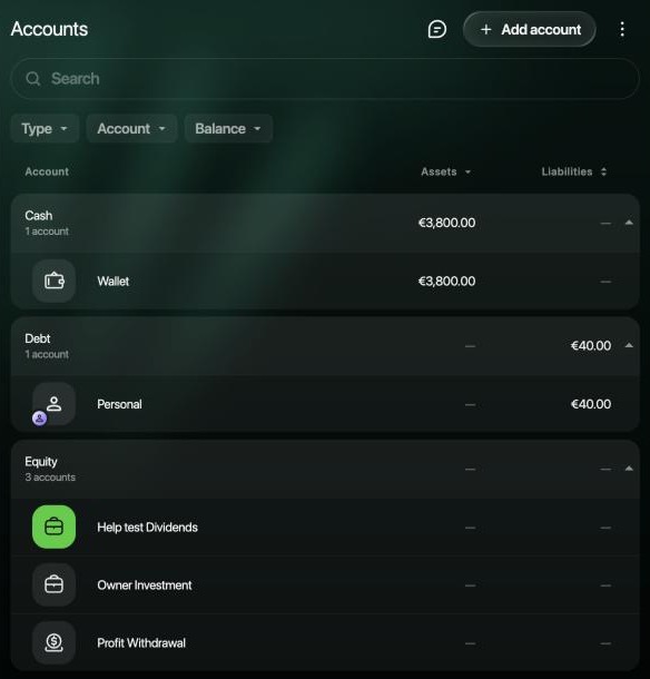 Accounts on the web in a business space: Cash with Wallet €3,800.00, Debt with Personal €40.00 under Liabilities, and Equity with three accounts, Help test Dividends, Owner Investment and Profit Withdrawal, showing dashes