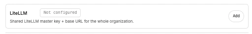 Organization LiteLLM settings